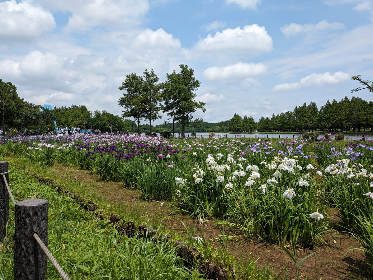 水元公園